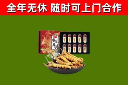 乌鲁木齐烟酒回收冬虫夏草礼盒.jpg